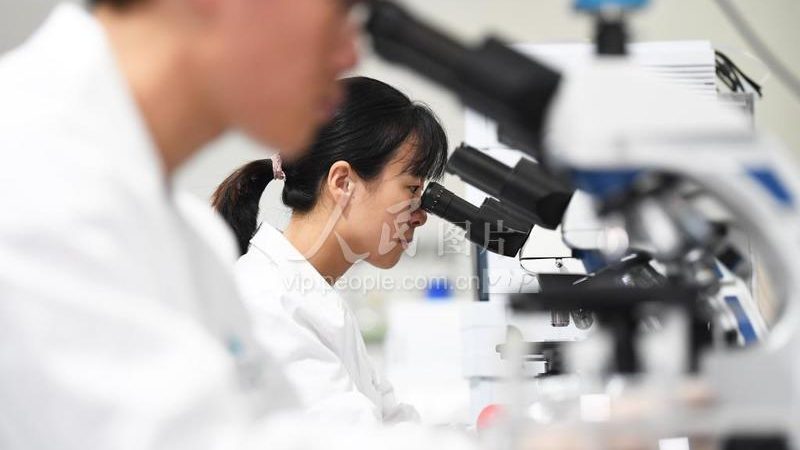 生物医药工艺验证外包：揭秘上海方案的关键要素