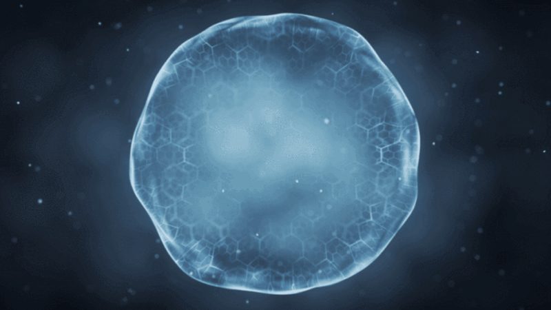 生物科技公司招聘，如何筛选合适人才？**