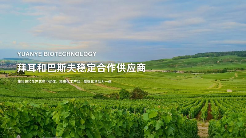 生物科技研发流程：揭秘常见难题与应对策略