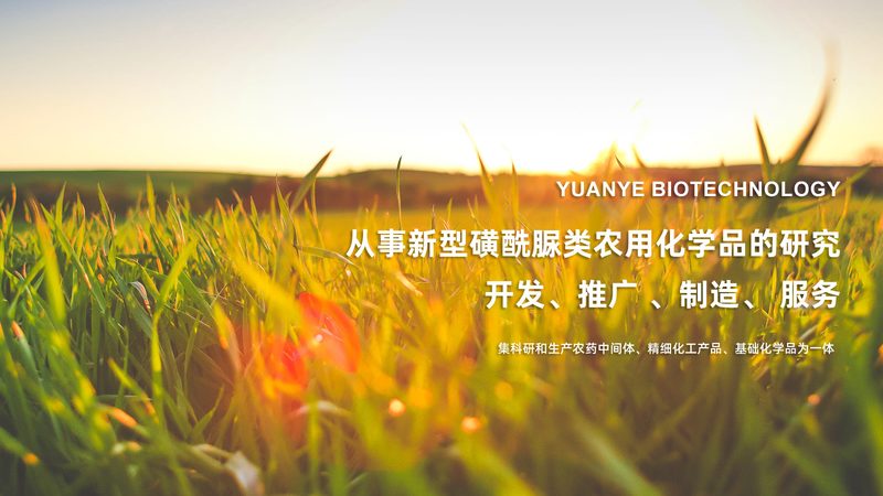 引物合成修饰：生物科技领域的关键环节