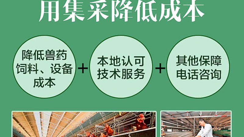 生物医药培养基定制与现成：如何选择最适合你的研究**