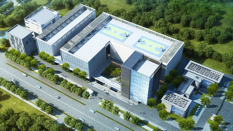 重组抗体表达：技术路线与关键步骤