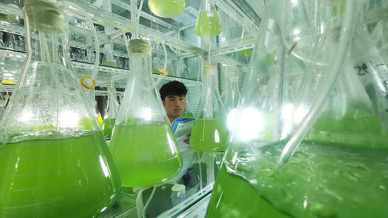 上海PCR试剂盒型号，如何选择更精准的检测利器？**